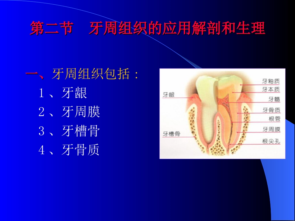 牙周组织疾病[共22页]_第2页