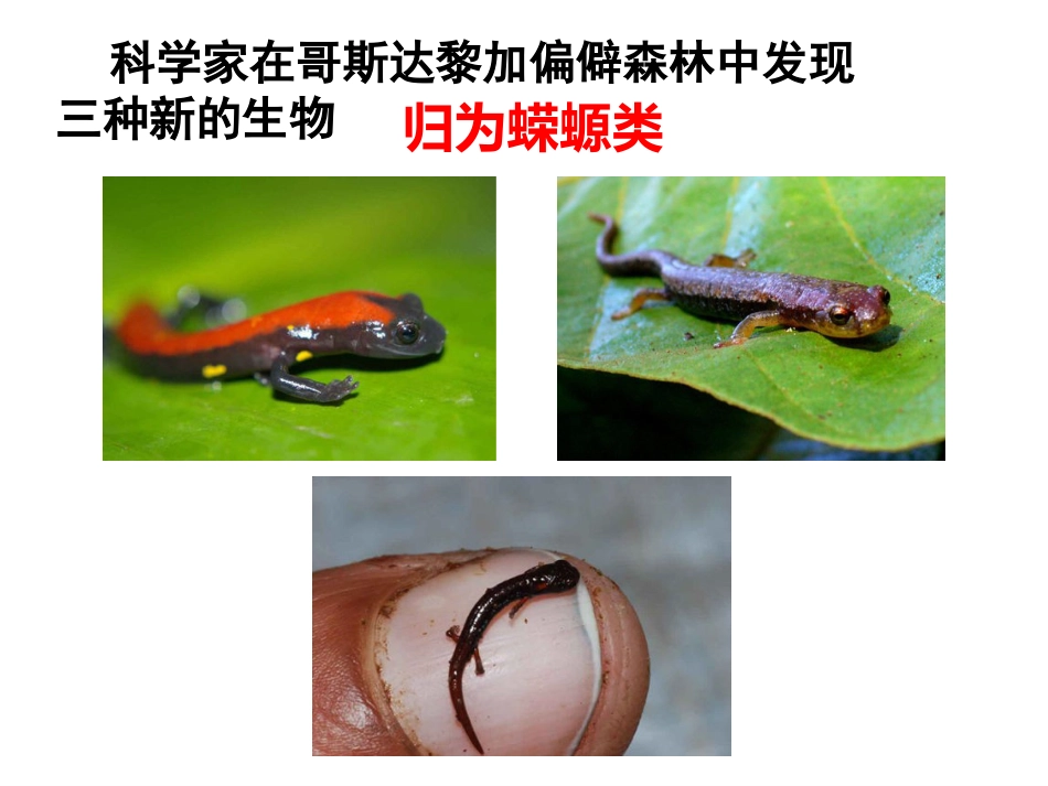 生物的命名和分类[共0页]_第1页