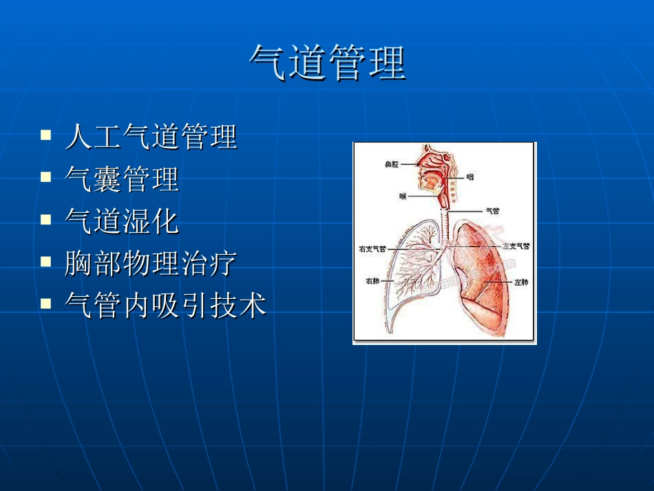 气道护理[共56页]_第3页