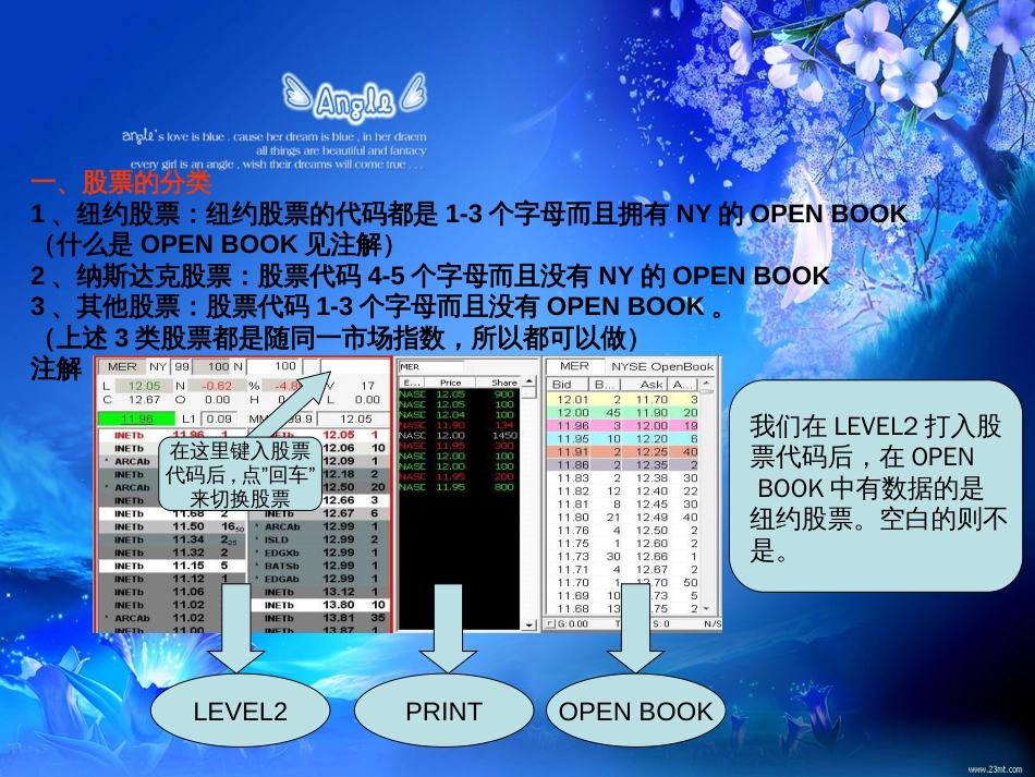 美股交易教程[共18页]_第3页