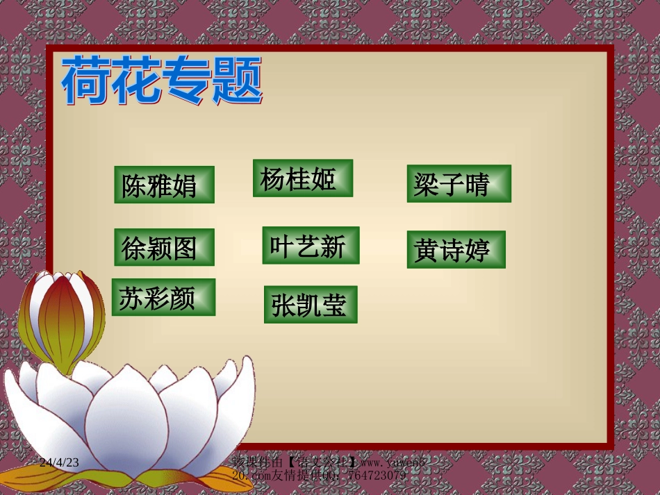 苏教版七年级下册《荷》专题[共14页]_第1页