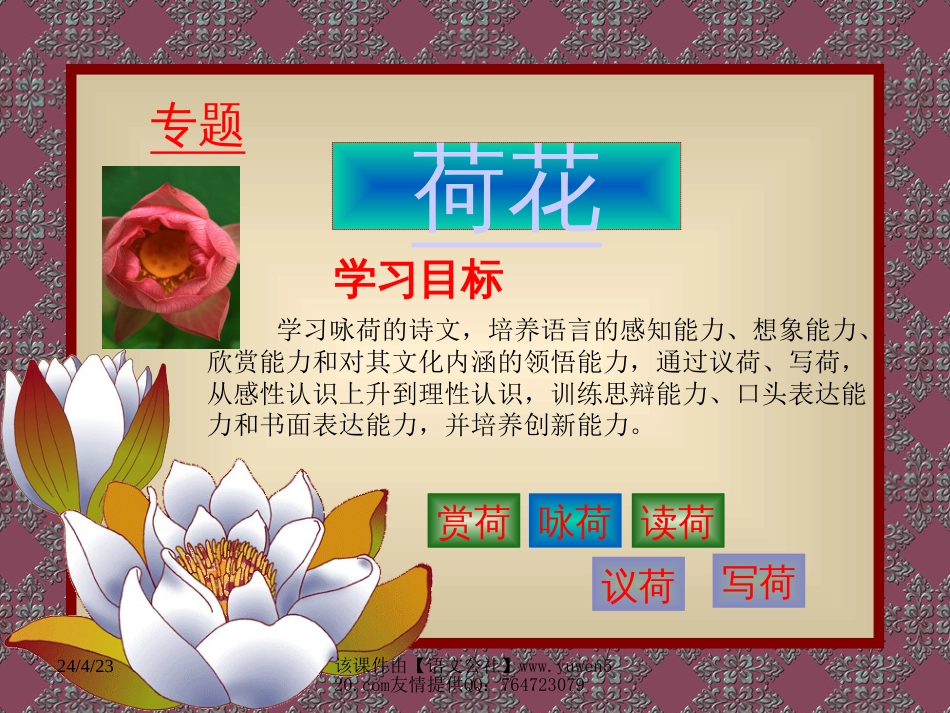 苏教版七年级下册《荷》专题[共14页]_第2页
