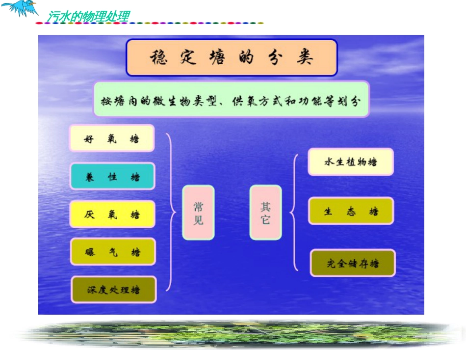 第六章污水的自然生物处理技术_第3页