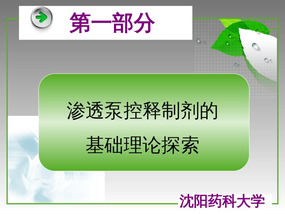 第三届国际药物制剂会议沈阳药科大学潘卫三教授报告[共50页]_第2页