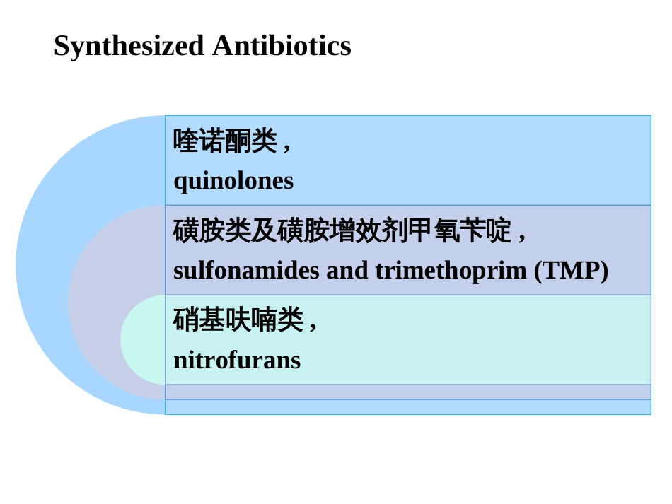 药理学——人工合成抗菌药[共61页]_第2页