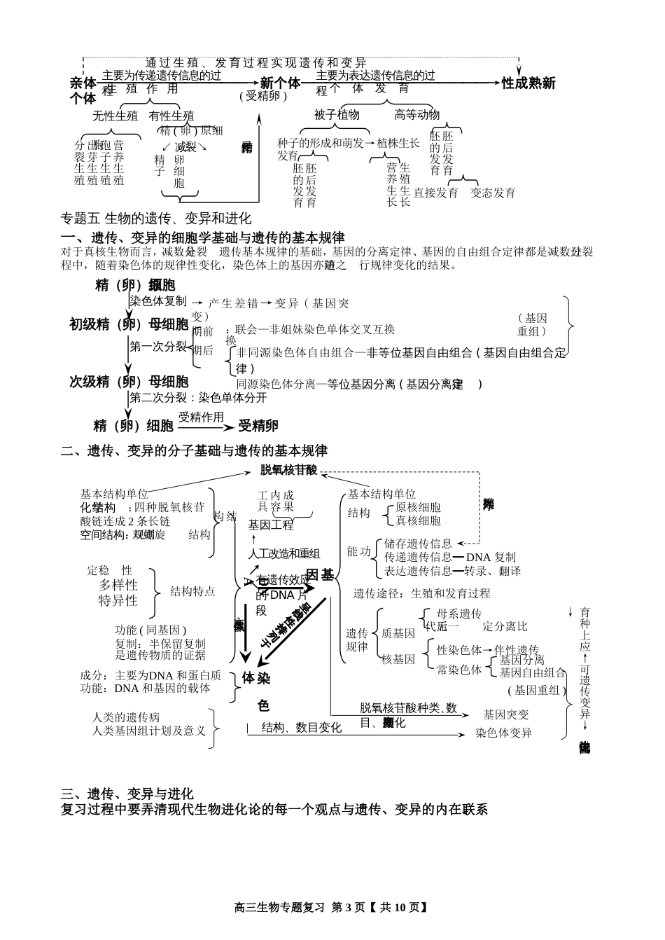知识网络二轮[共10页]_第3页