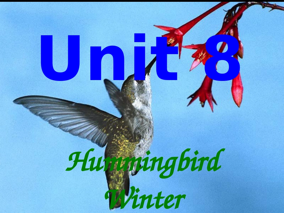 综英48HummingbirdWinter[共121页]_第1页