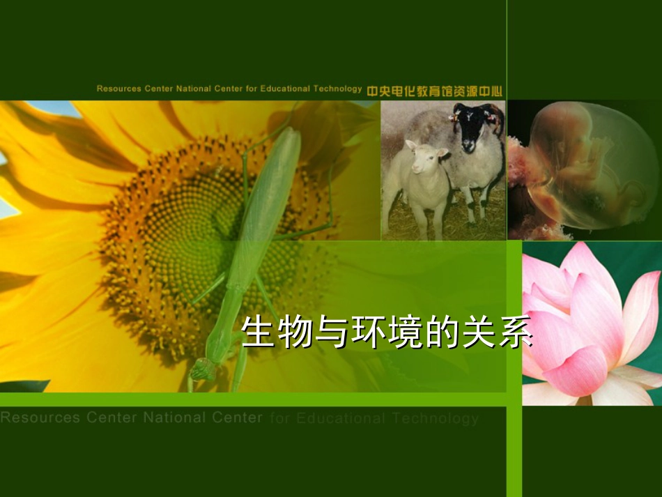 生物与环境的关系3[共18页]_第1页