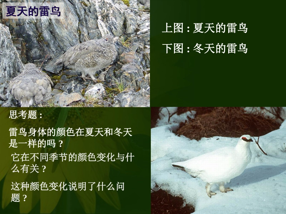 生物与环境的关系3[共18页]_第2页
