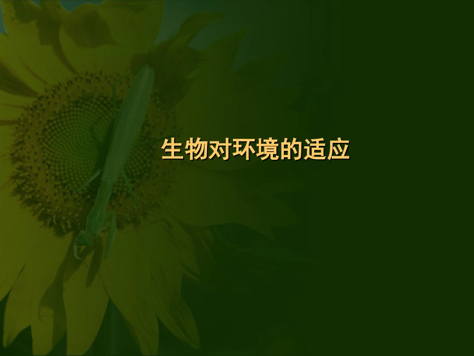 生物与环境的关系3[共18页]_第3页