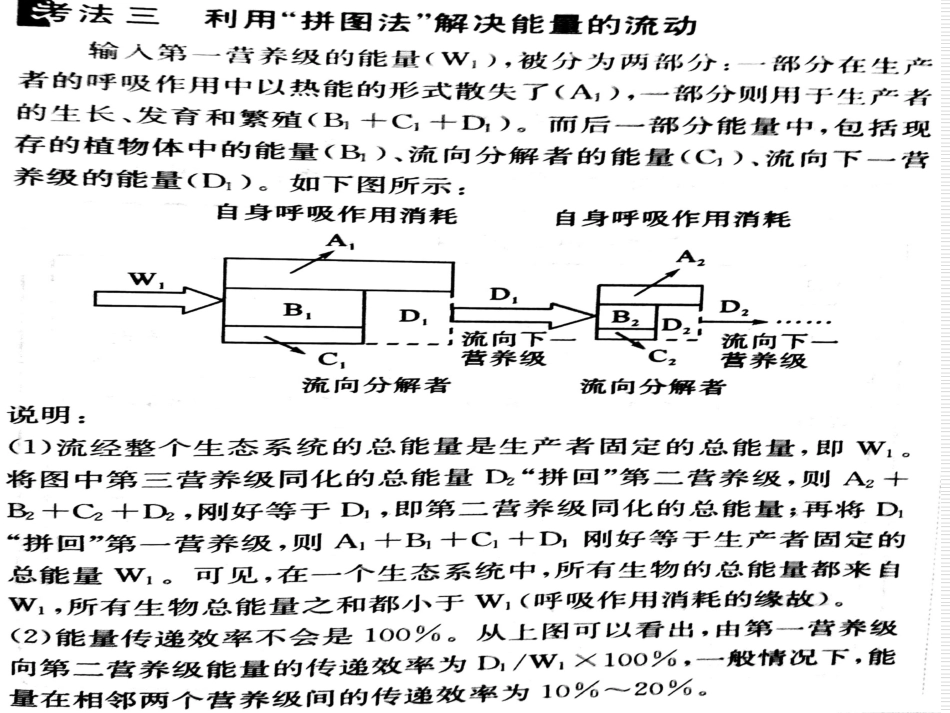 能量流动相关计算[共33页]_第2页