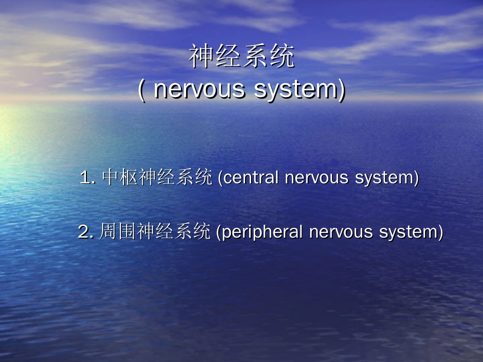 神经系统的体表定位[共65页]_第2页