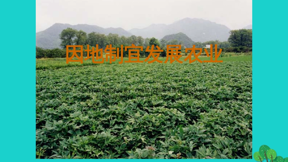 八年级地理上册 第四章 第一节 农业课件 （新版）湘教版[共0页]_第2页