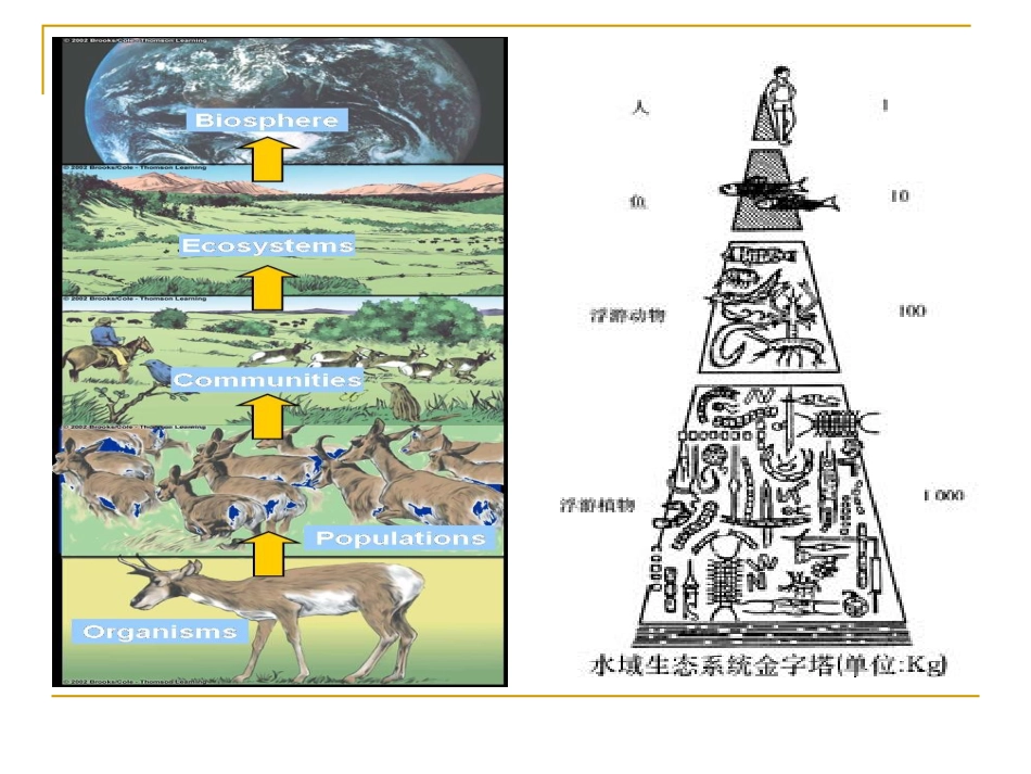 第五章农业生态系统的生物与环境[共35页]_第3页