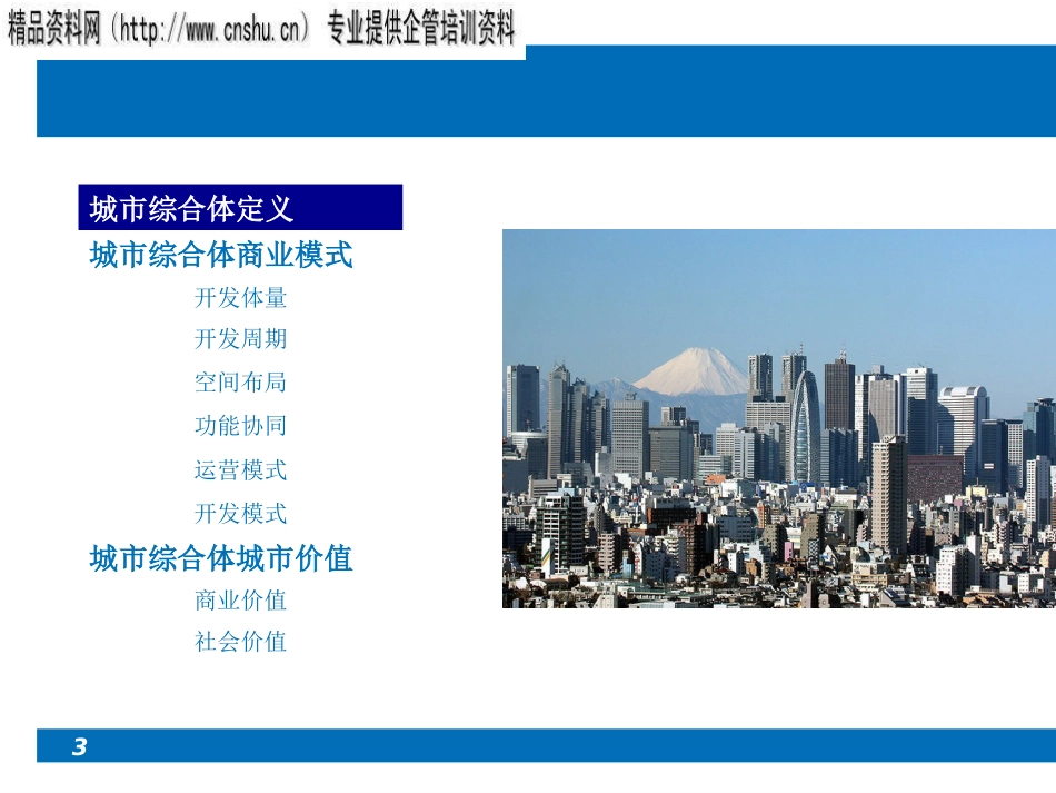 城市综合体的城市价值与商业模式ppt 76页_第3页