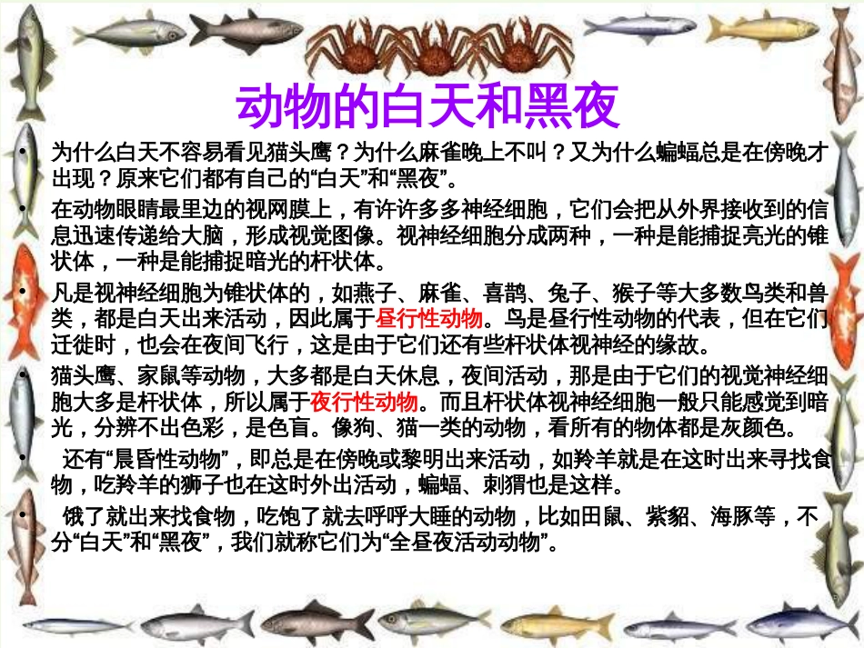 六年级科学上册 昼夜与生物课件7 青岛版[共0页]_第3页