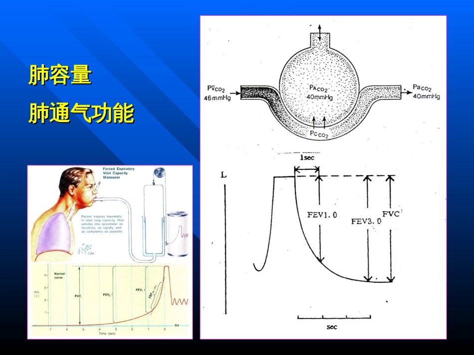 血气分析常用指标[共26页]_第2页