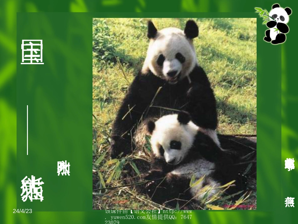 苏教版七年级下册《国宝——大熊猫》PPT课件[共14页]_第2页