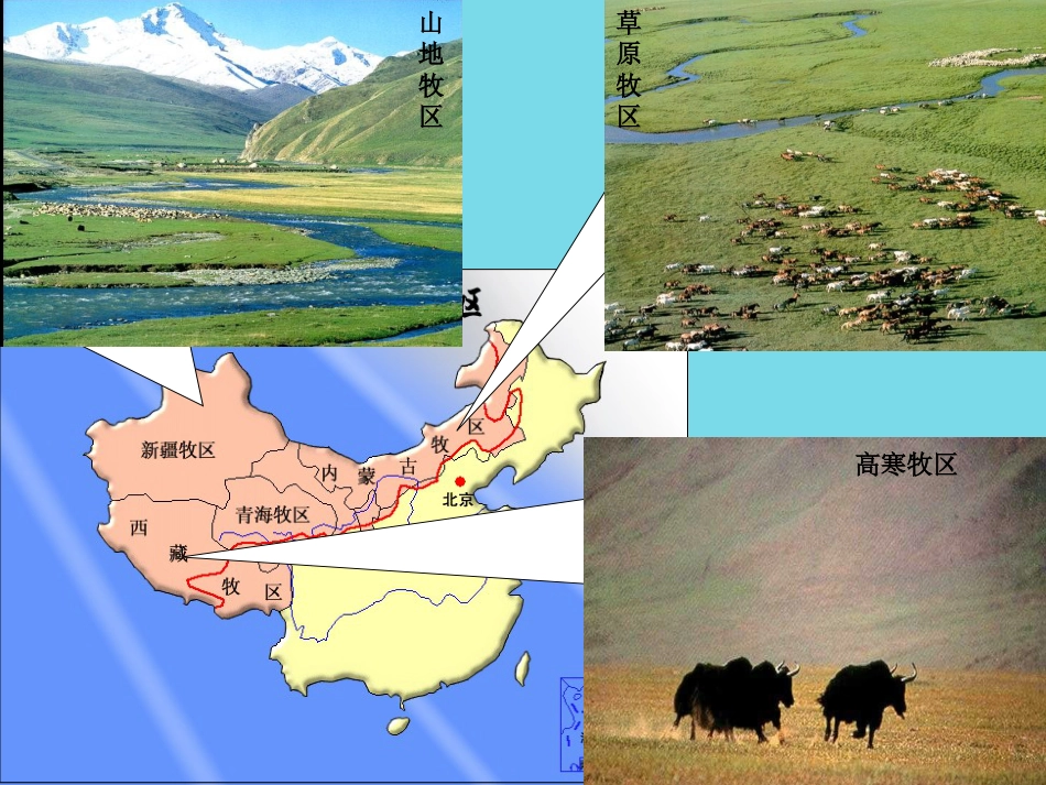 辽宁省抚顺市第一中学2015-2016学年高一地理 世界地理 14青藏地区课件2_第3页