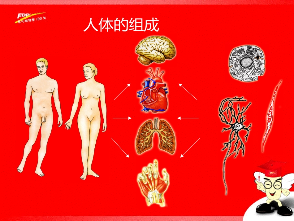 营养健康人生[共33页]_第3页