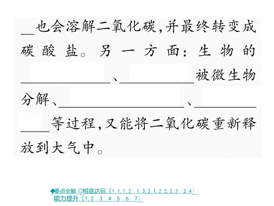 第三节 大自然中的二氧化碳 第一课时 二氧化碳的循环和实验室制法_第3页