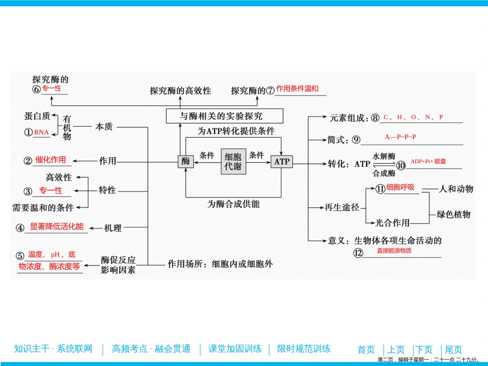 第一部分  专题二  第一讲　代谢中的酶和ATP_第2页