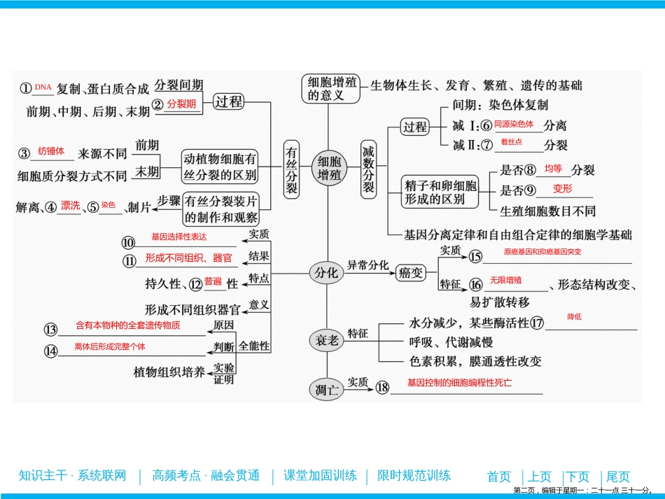 第一部分  专题一  第三讲　细胞的生命历程_第2页