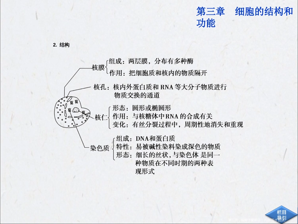 第三章 第二节（三） 细胞核　生物膜系统_第3页