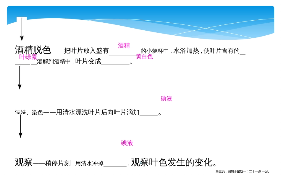 第四章　绿色植物是生物圈中有机物的制造者_第3页