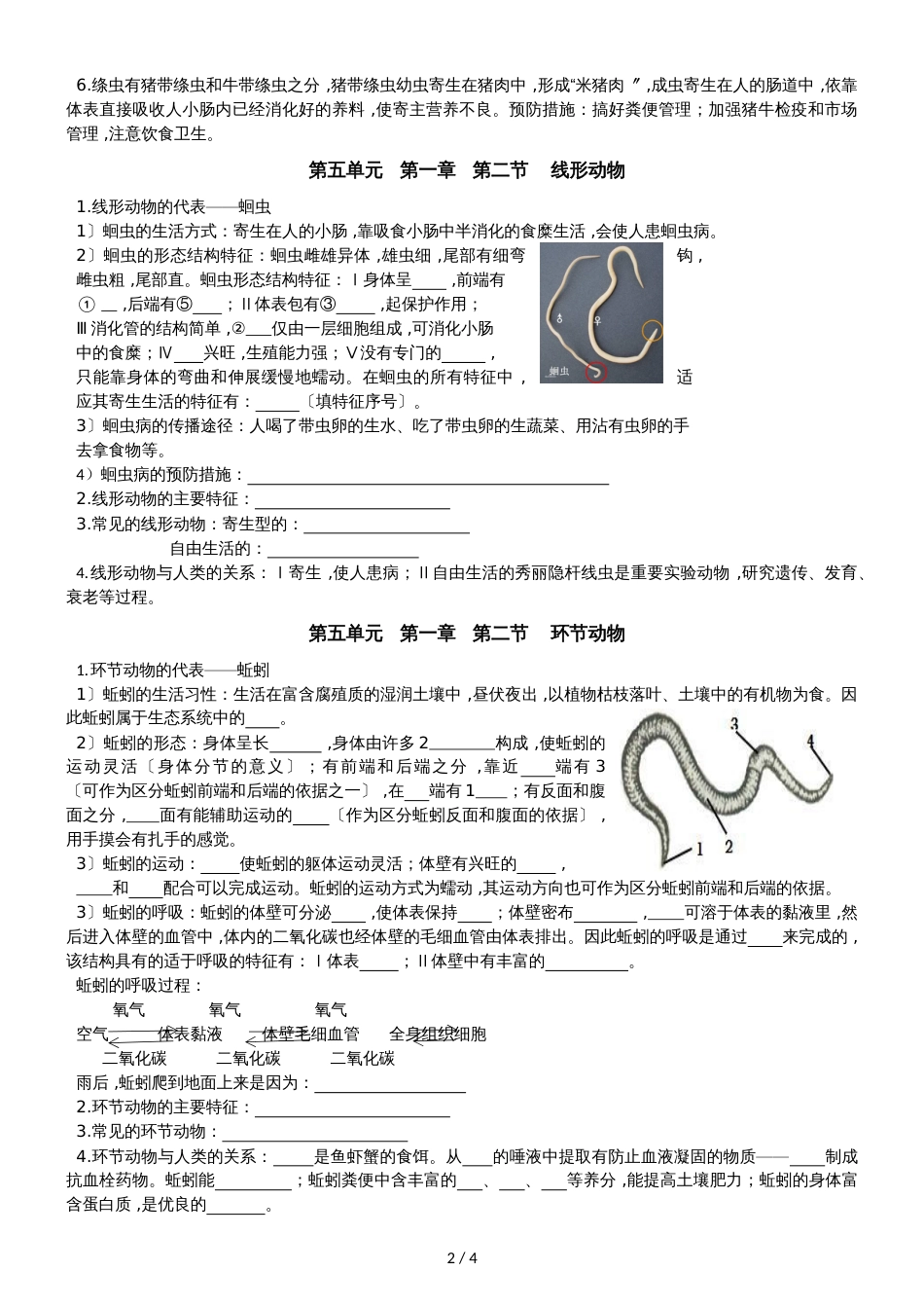 人教版八年级上册生物第五单元动物的主要类群第一二节知识点填空（无答案）_第3页