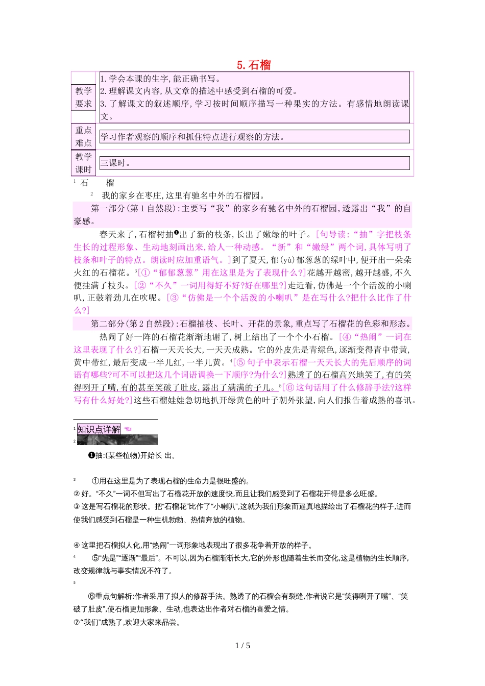 三年级上册语文教案5 石榴  苏教版_第1页