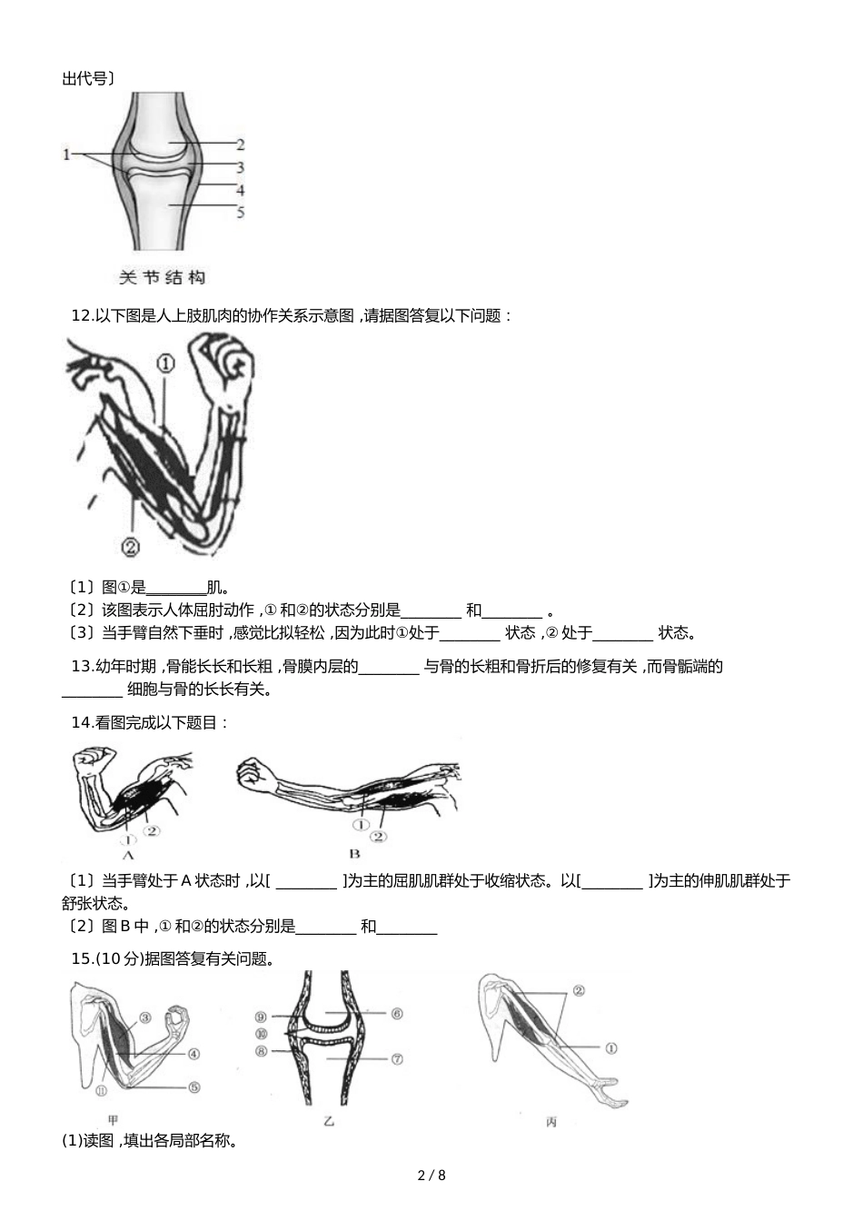 苏教版八年级上册生物 6.17.2动物的运动依赖于一定的结构 同步测试（解析版）_第2页