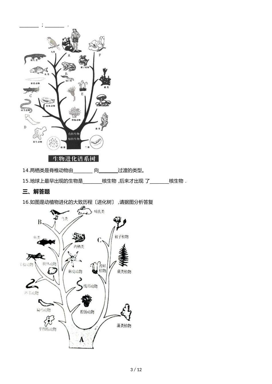 苏教版八年级上册生物 5.16.2生命进化的历程 同步测试（解析版）_第3页