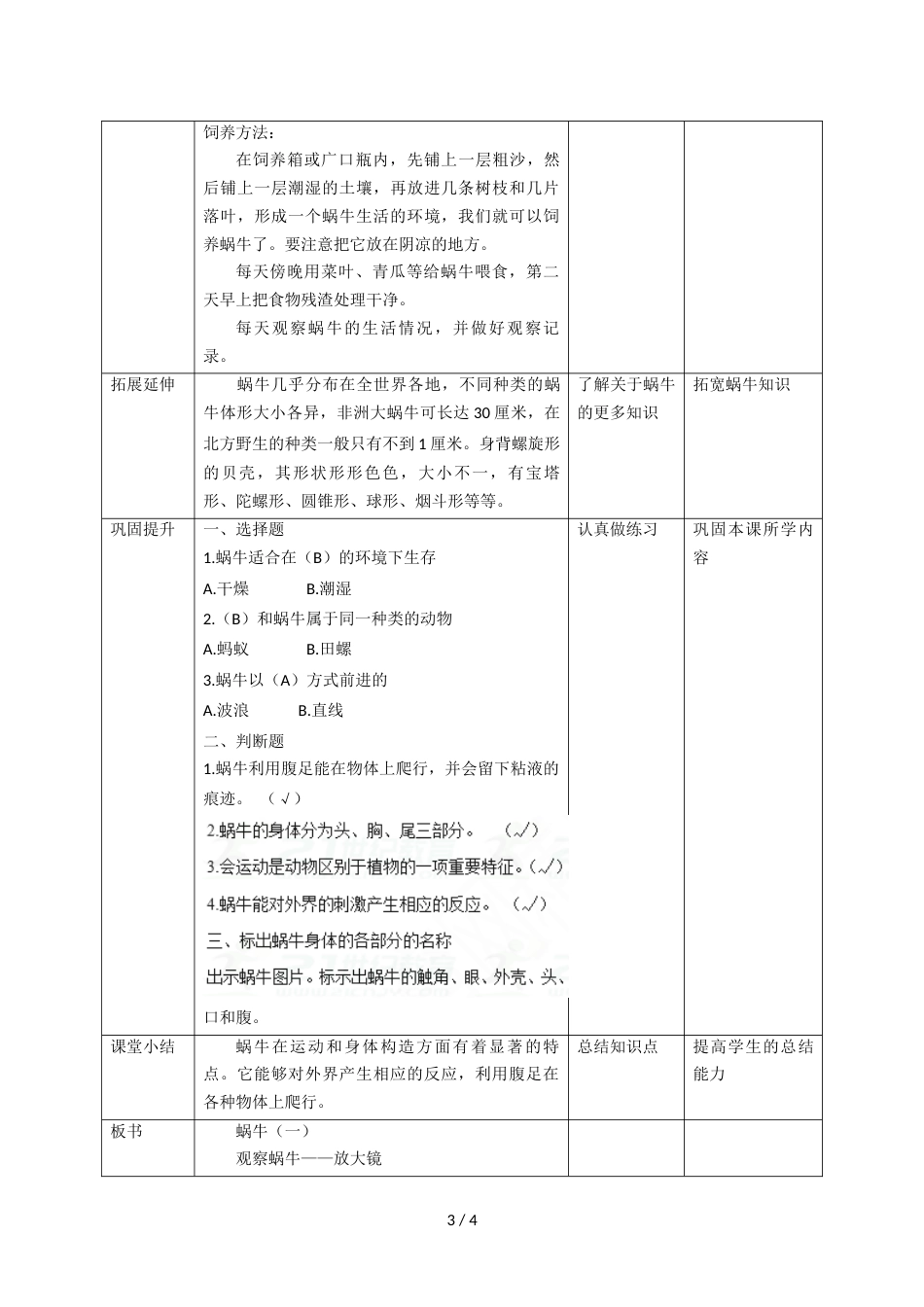 三年级上册科学教案第二单元第二课《蜗牛（一）》∣教科版_第3页