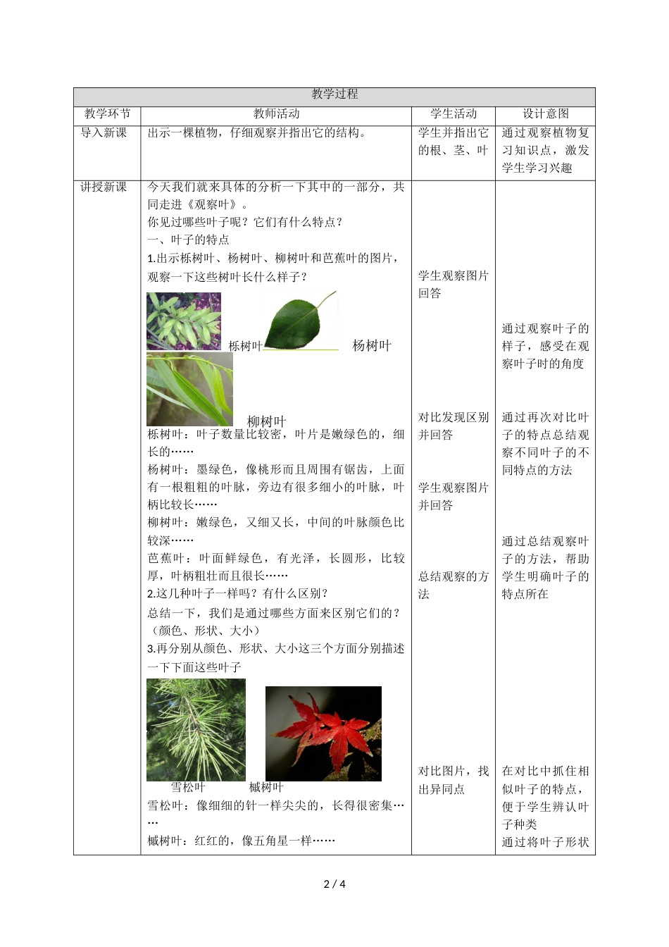 三年级上册科学教案观察叶∣教科版_第2页