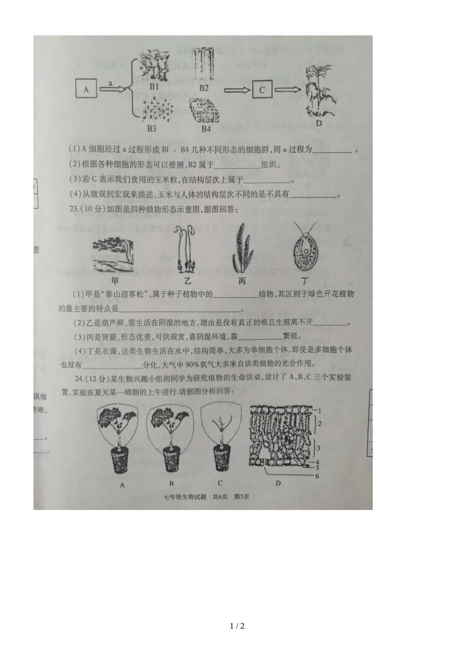 [首发]山东省济宁市鱼台县七年级上学期期中考试生物试题（图片版）_第1页