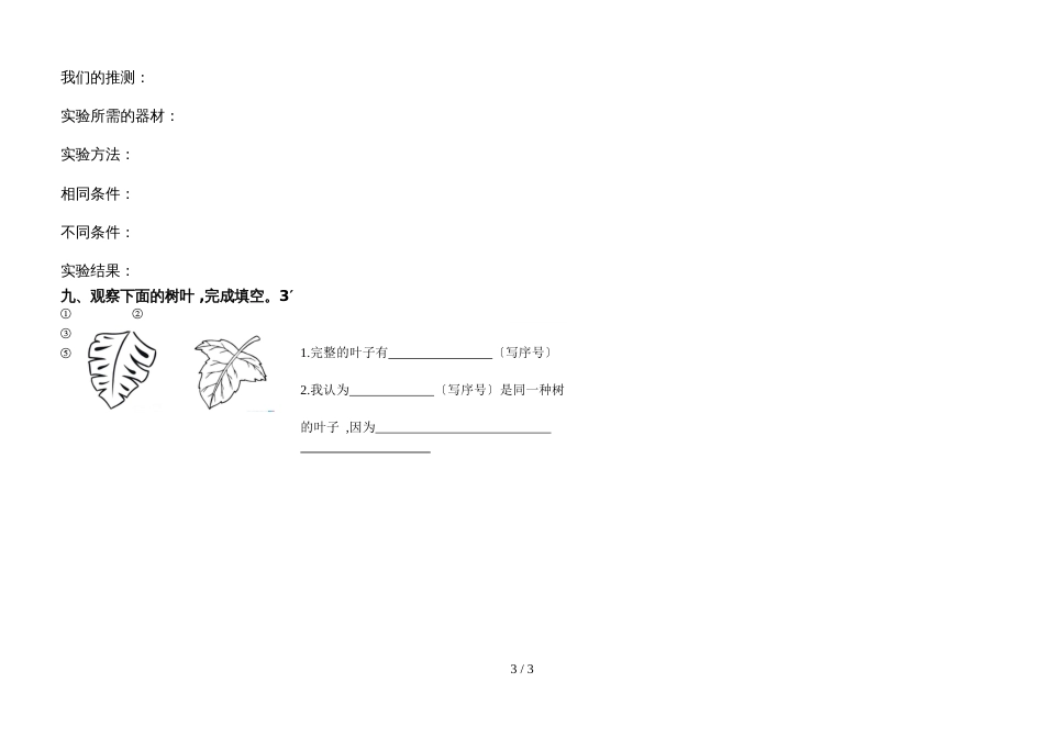 三年级上册科学试题期末试题（不含答案） 教科版_第3页