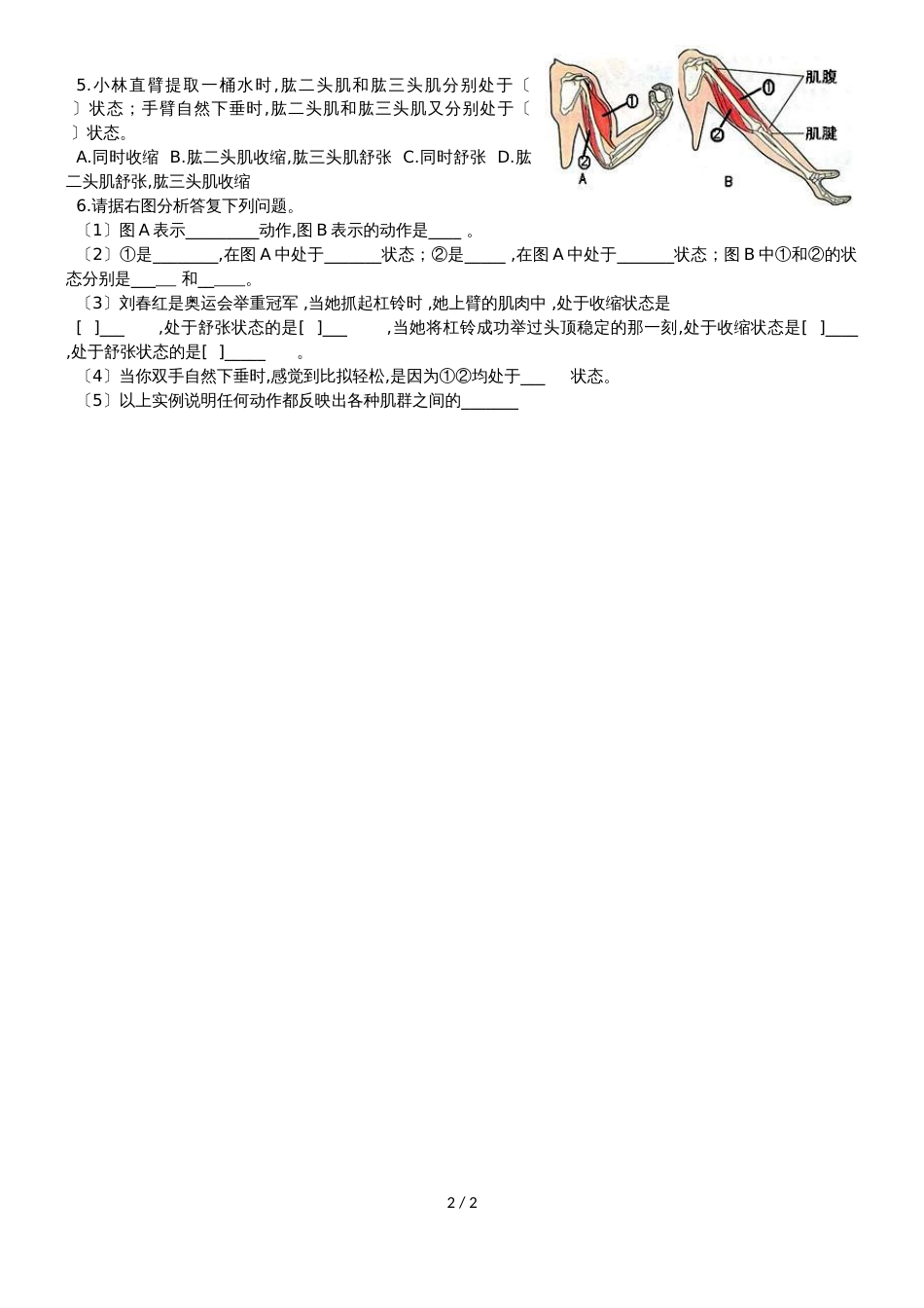 人教版八年级生物上册5.2.1动物的运动导学案(无答案）_第2页