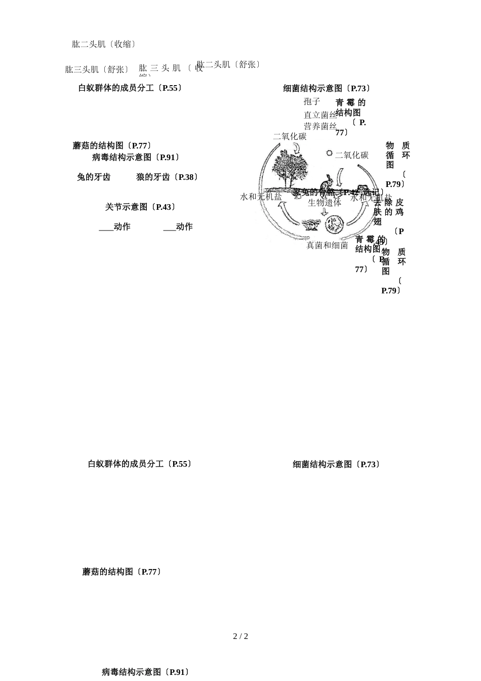 人教版八年级生物上册图形类复习（答案不全）_第2页