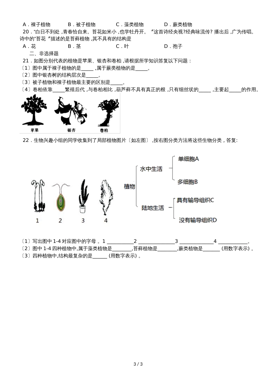 度山东省滕州市鲍沟中学七年级生物上册第二单元第1章：第1节：绿色植物的主要类群练习题（无答案）_第3页