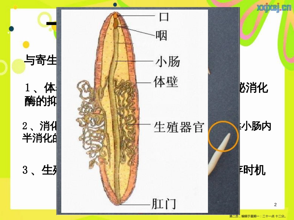 第五单元第一章第二节线形动物和环节动物_第2页