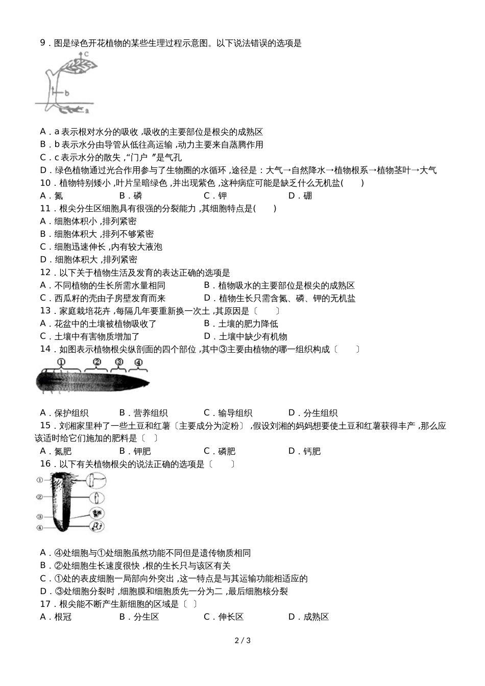 度山东省滕州市鲍沟中学八年级生物上册第一章：第5节：根的结构与功能练习题（无答案）_第2页