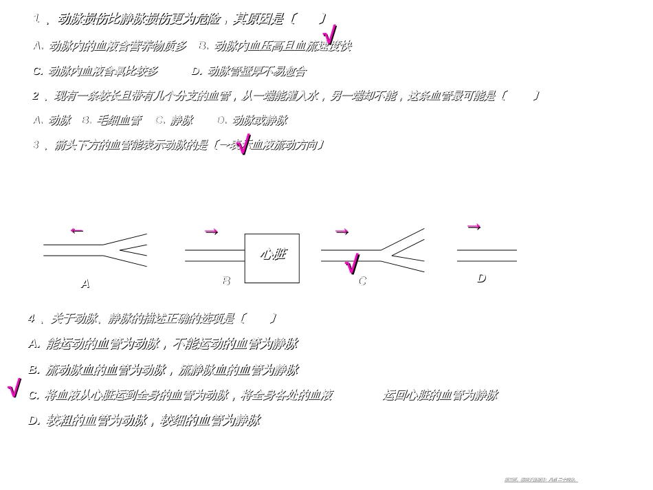 第三章   第二节    物质运输的器官(共21张PPT)_第3页