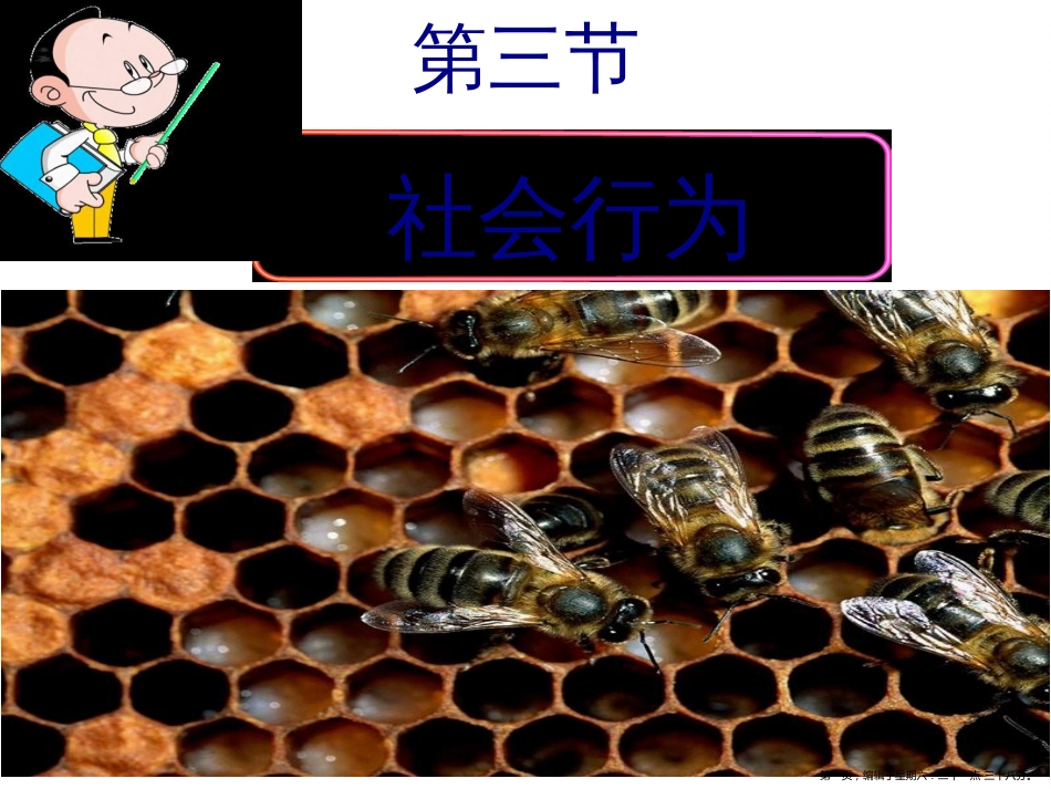 第三节 社会行为_第1页