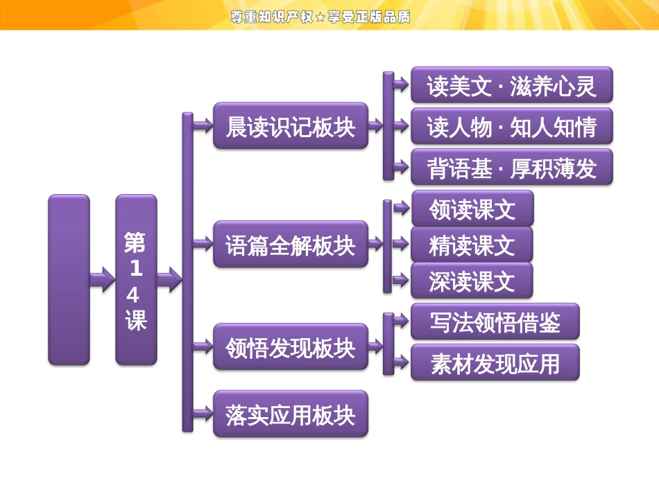 第四单元   第14课   一名物理学家的教育历程_第1页