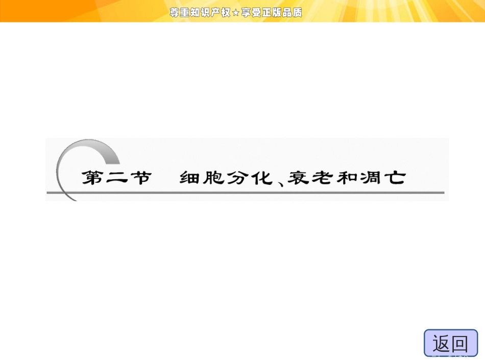 第五章  第二节  细胞分化、衰老和凋亡_第3页