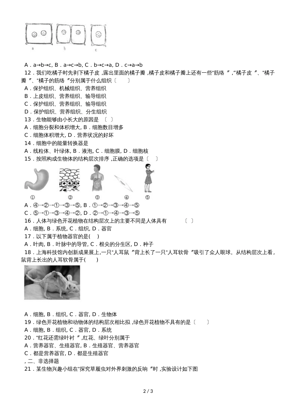 度山东省滕州市张汪中学第一学期期中复习七年级生物第一单元第二章观察生物结构过关试题（无答案）_第2页