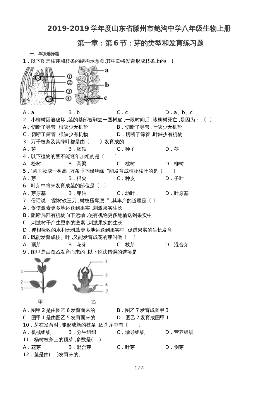 度山东省滕州市鲍沟中学八年级生物上册第一章：第6节：芽的类型和发育练习题（无答案）_第1页