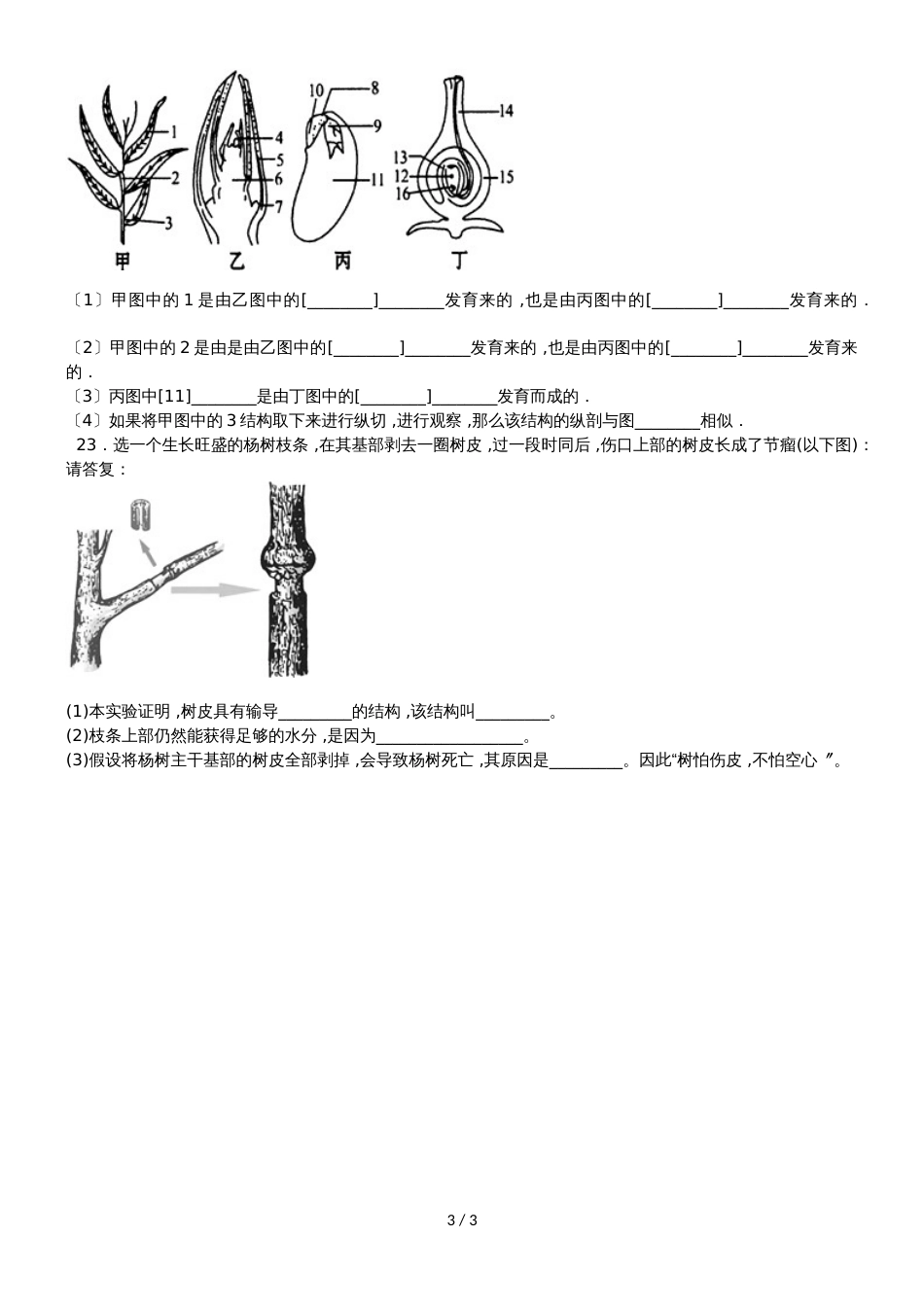 度山东省滕州市鲍沟中学八年级生物上册第一章：第6节：芽的类型和发育练习题（无答案）_第3页