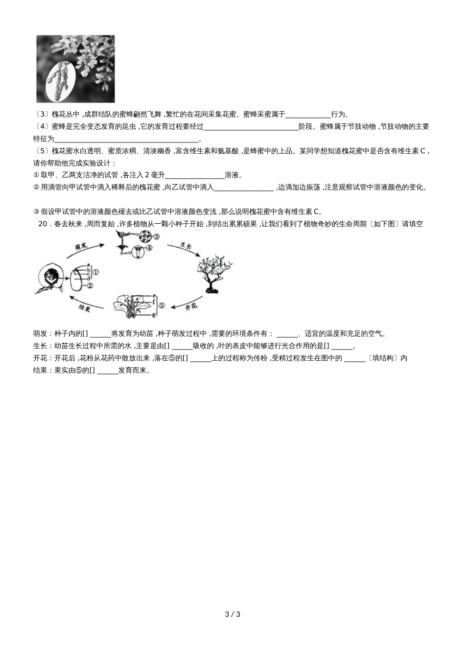 度山东省滕州市鲍沟中学八年级生物上册第一章：第1节：花的结构和类型练习题（无答案）_第3页